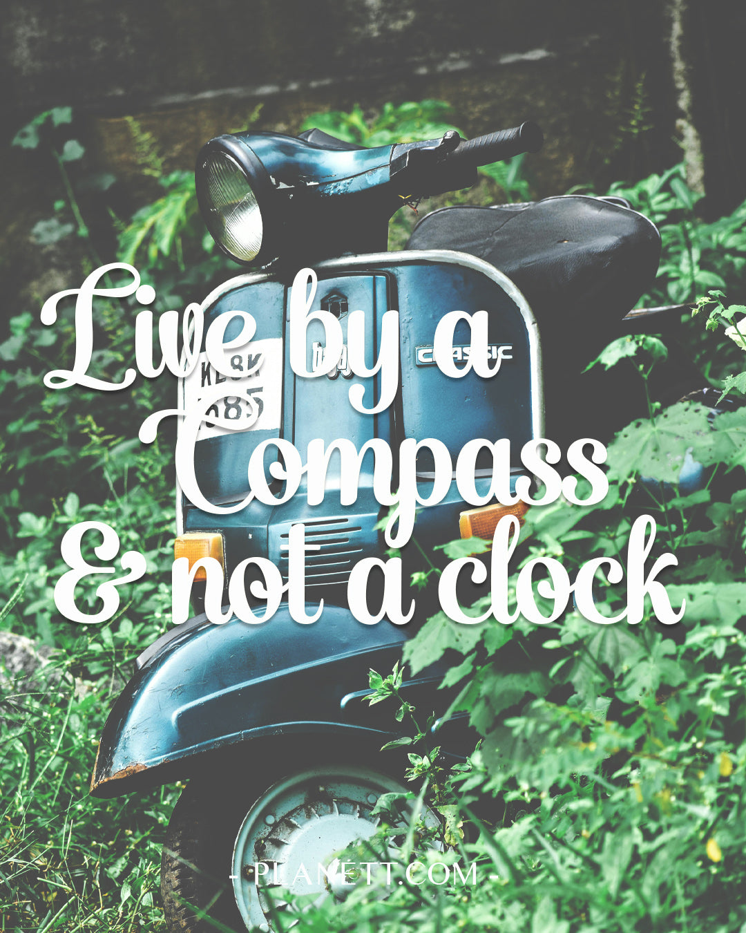 Blue vintage scooter with a black seat and chrome accents, partially surrounded by green foliage