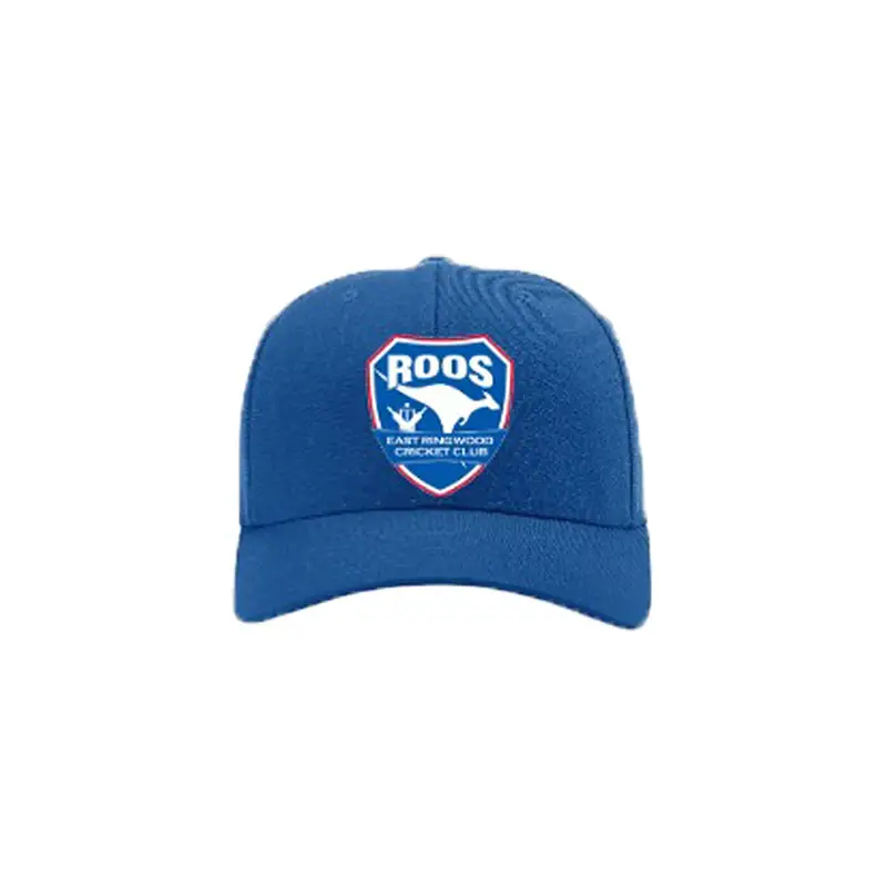 Blue baseball cap with logo.