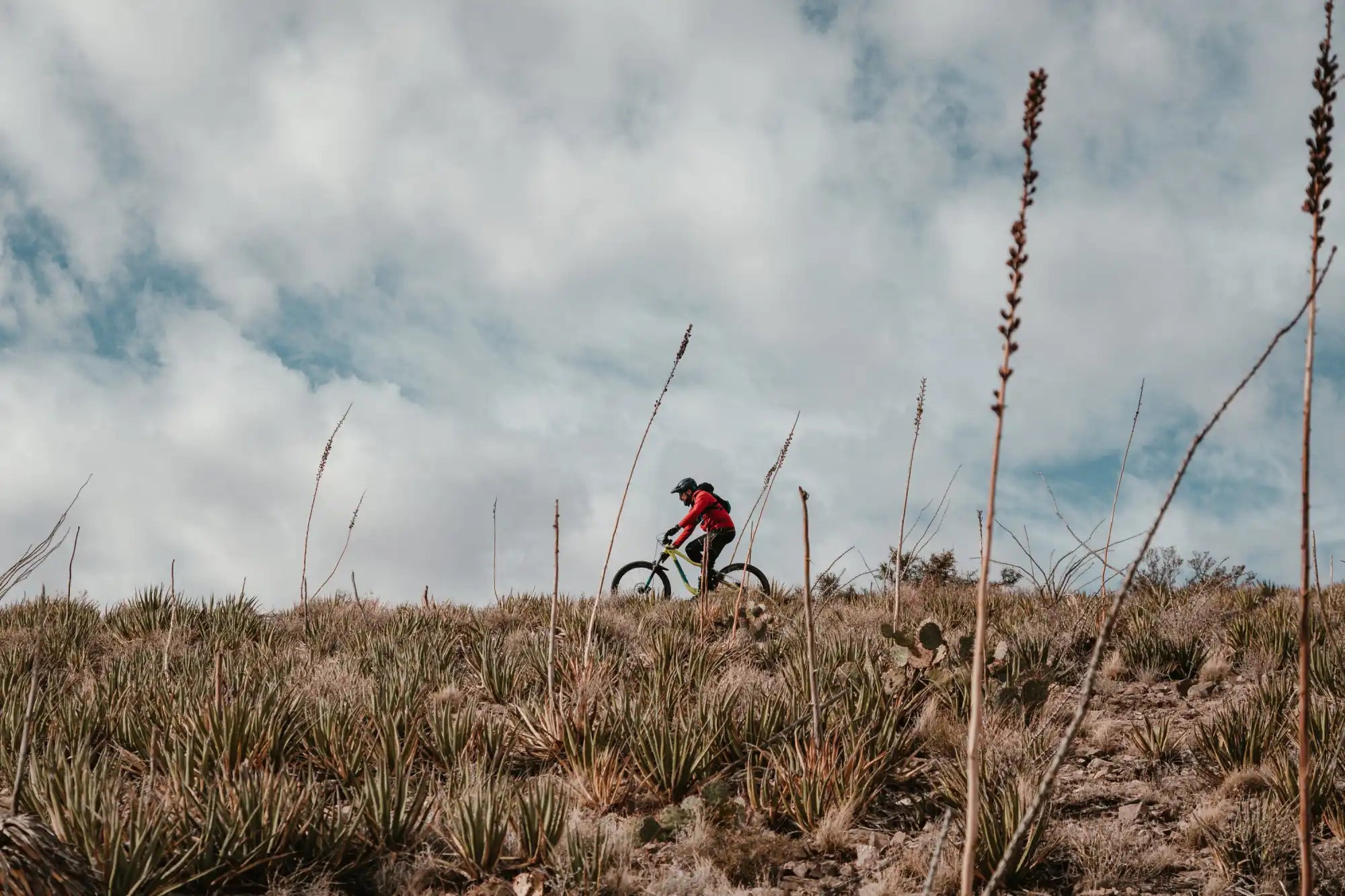 A person riding a mountain bike on a grassy hill.