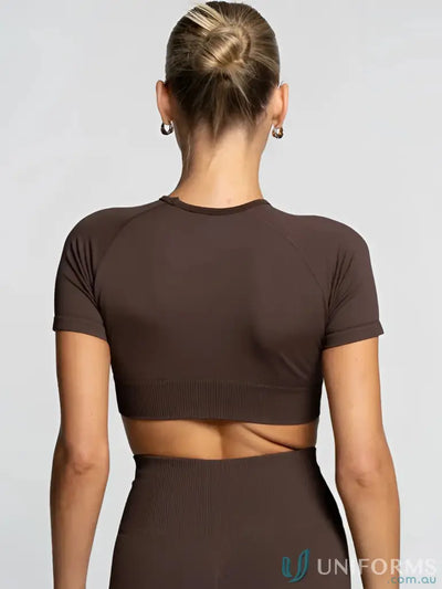 Brown crop top with short sleeves and round neckline.